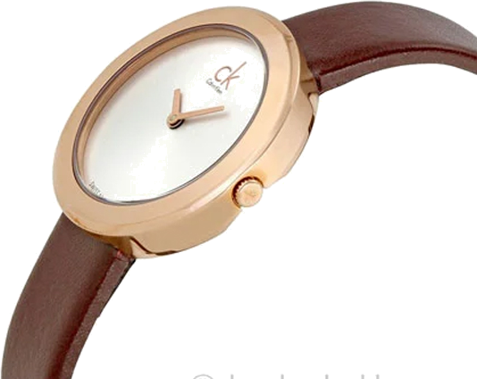 Montre Femme Calvin Klein K3N236G6 Cadran Argent Boîtier Or Rose Bracelet Cuir Marron vue 2