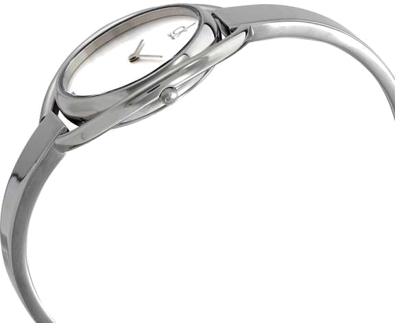 Montre Femme Calvin Klein K4F2N116 Acier Argenté Swiss Made - Cadran Ovale 40mm vue 2