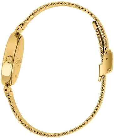 Montre Calvin Klein Authentic K8G23526 en acier doré pour femme vue 2