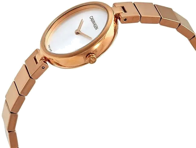 Montre Femme Calvin Klein Authentic K8G23646 en acier inoxydable doré rose vue 2