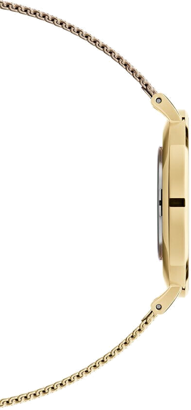 Montre Femme Daniel Wellington Petite Evergold 32mm - Cadran Blanc & Maille Milanaise Or - DW00100348 vue 2