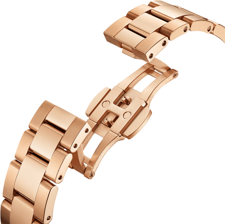 Montre Femme Daniel Wellington Iconic Link 28mm DW00100370, Cadran et Bracelet Acier Or Rose vue 5