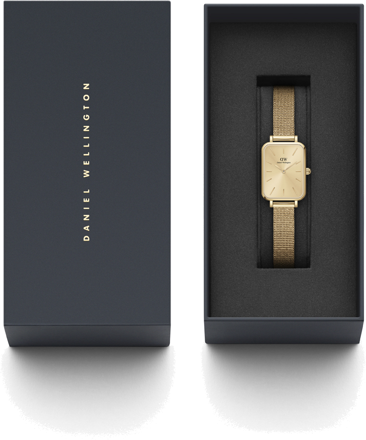 Montre Femme Daniel Wellington DW00100485 Quadro Rectangulaire Or Rose Maille Acier vue 4