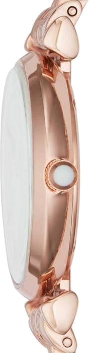 Montre Femme Emporio Armani Gianni 111396 - Cadran Nacre, Boîtier et Bracelet Acier Doré Rose vue 2