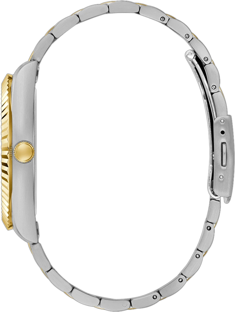 Montre Homme Guess GW0265G5 Connoisseur en Acier Bicolore Argent et Or vue 2