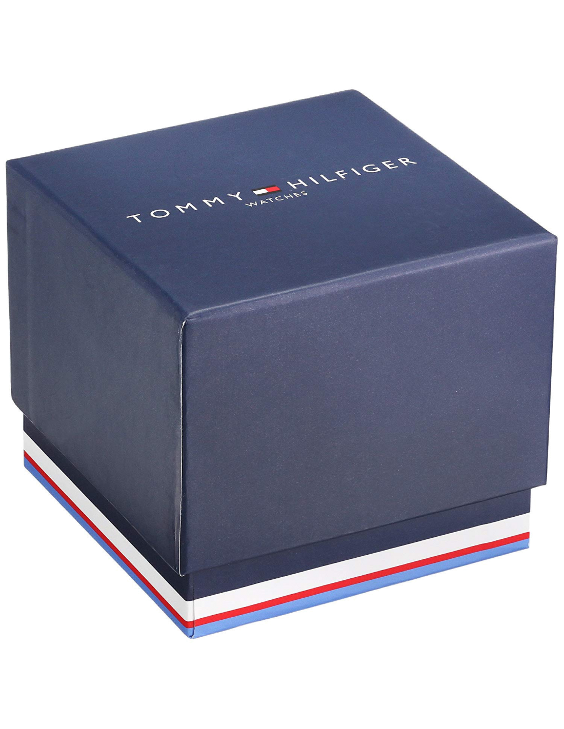 Montre Homme Tommy Hilfiger 1791487 Chase - Boîtier Acier, Cadran Bleu, Bracelet Cuir Marron vue 2